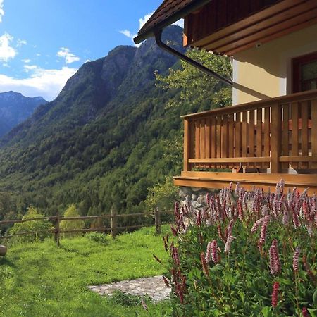 Zadnjica Holiday House Soča Kültér fotó