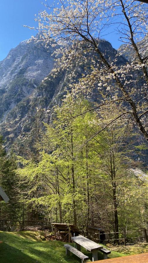 Zadnjica Holiday House Soča Kültér fotó